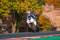 anglesey;brands-hatch;cadwell-park;croft;donington-park;enduro-digital-images;event-digital-images;eventdigitalimages;mallory;no-limits;oulton-park;peter-wileman-photography;racing-digital-images;silverstone;snetterton;trackday-digital-images;trackday-photos;vmcc-banbury-run;welsh-2-day-enduro